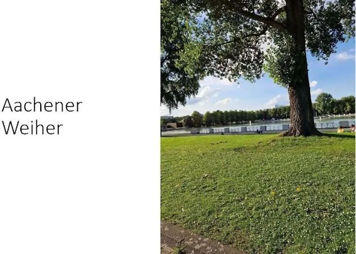 Apartamento Zentrale Lage In Der Naehe Von Der Uni ,neumarkt Und Messe Nur 5 Stationen *